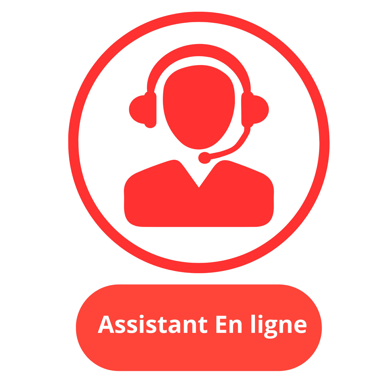 Assistant En Ligne
