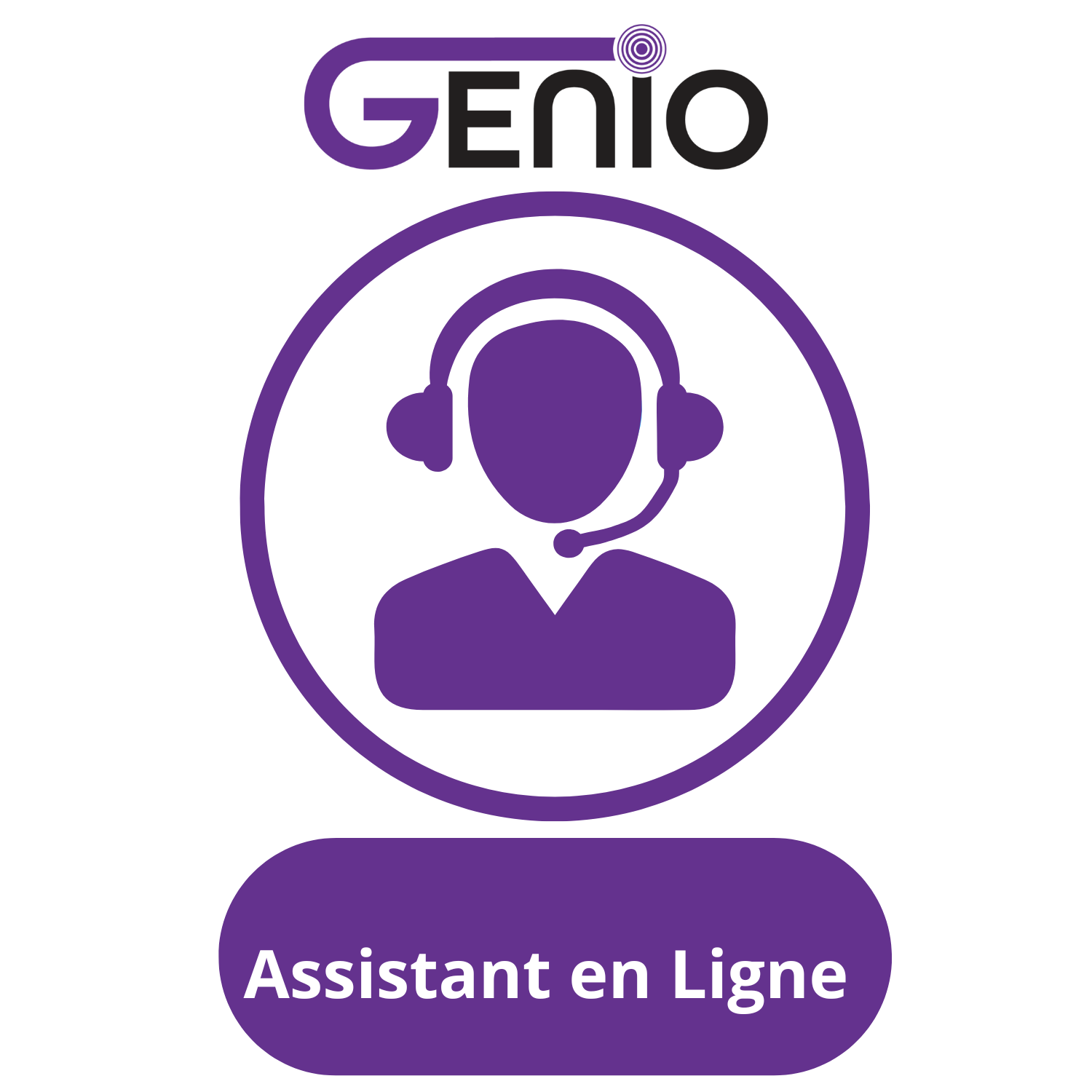 Assistant En Ligne